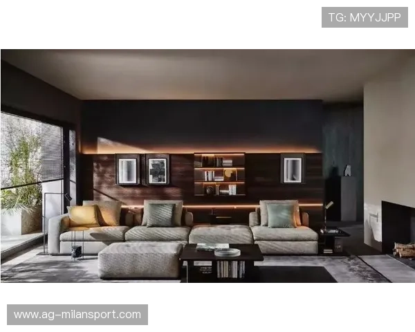 米兰国际沙发的材质与工艺让您安心每一天