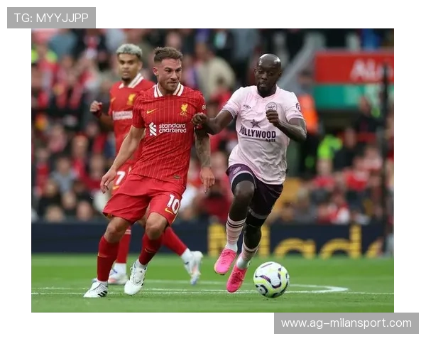 米兰官网登录下载的详细步骤及注意事项